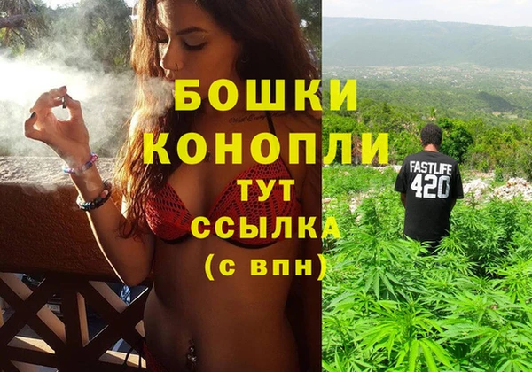 стаф Краснослободск