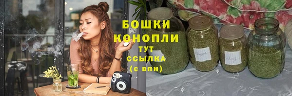 стаф Краснослободск