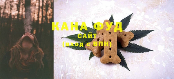 стаф Краснослободск